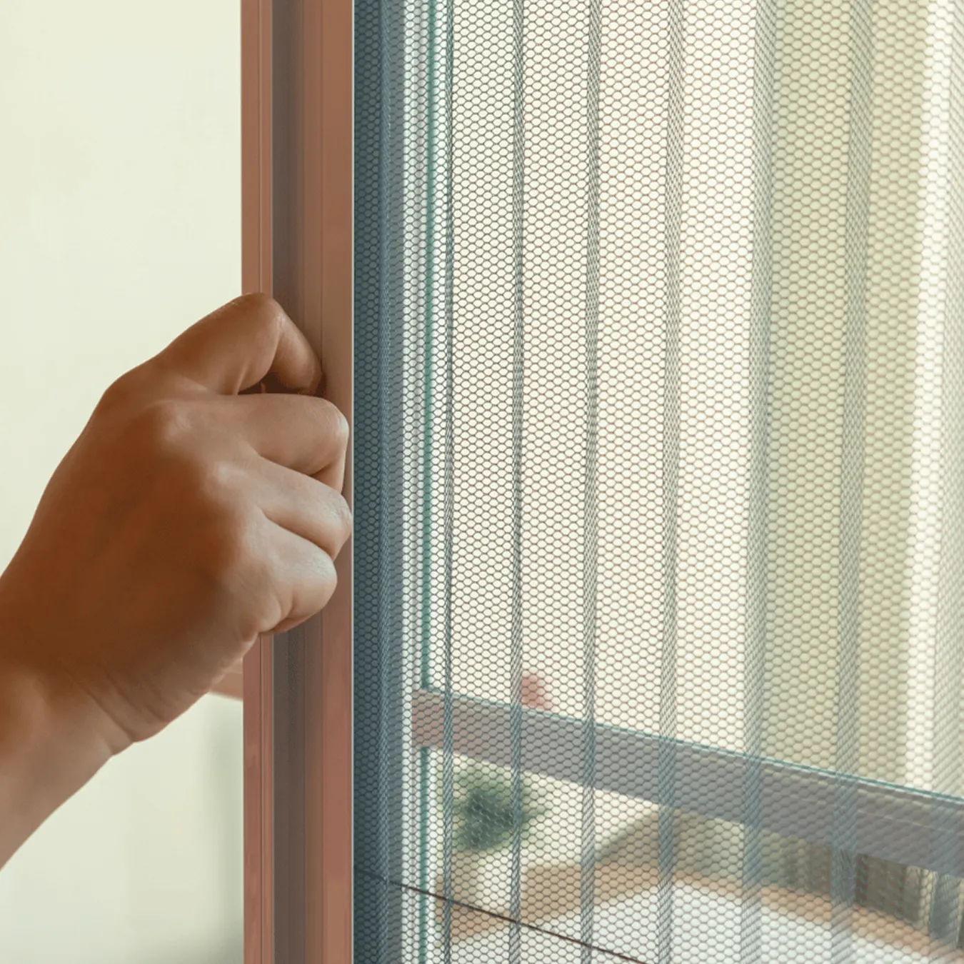 Mayra Supreme Screen Installation